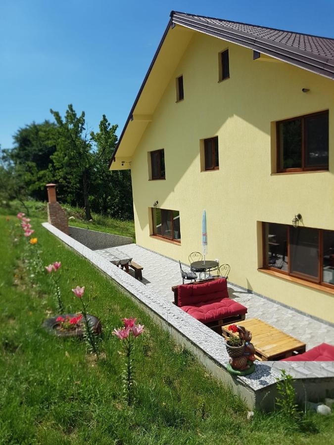 Hotel Viata La Tara Cerna Cerna  Zewnętrze zdjęcie