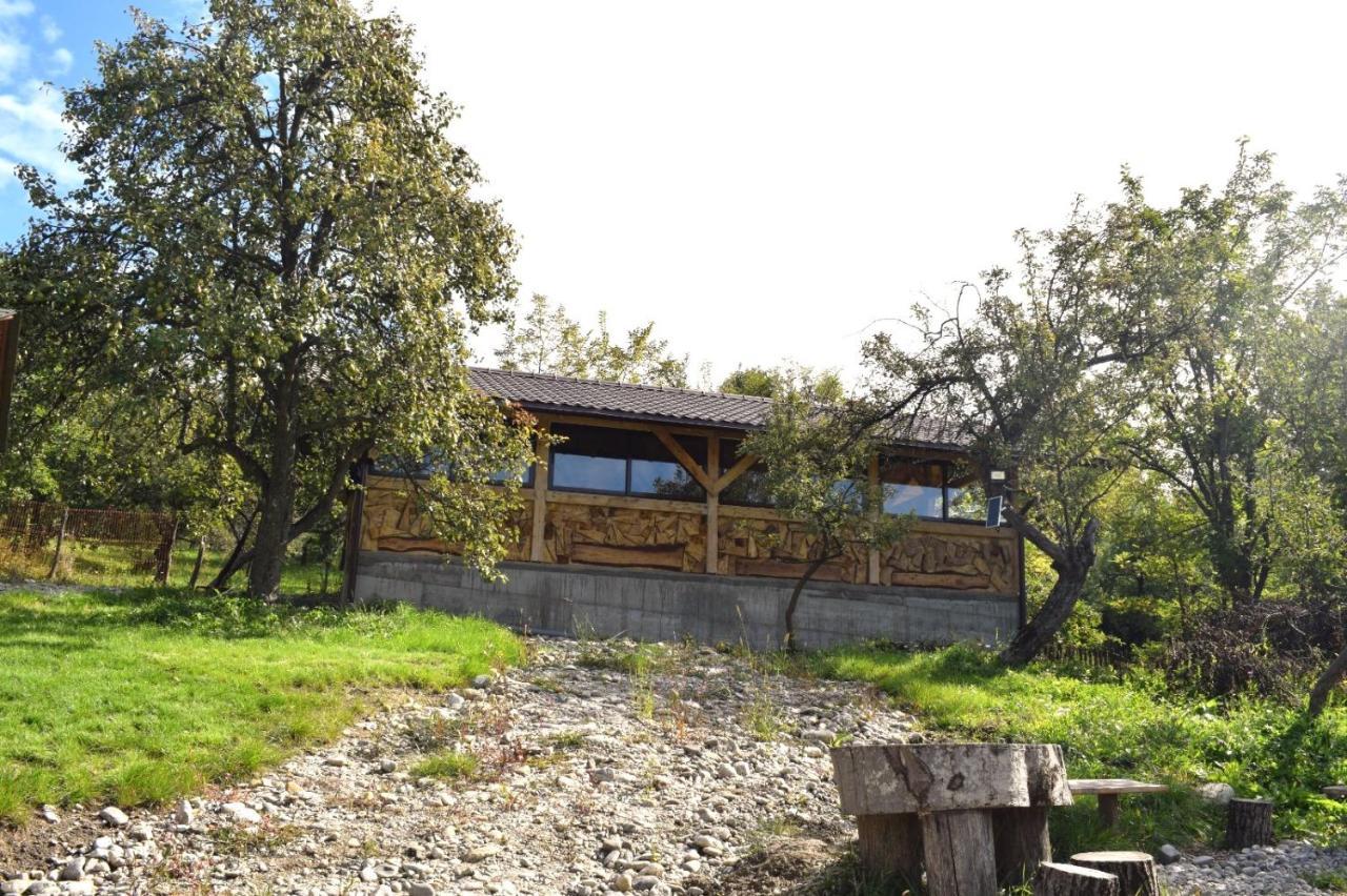 Hotel Viata La Tara Cerna Cerna  Zewnętrze zdjęcie